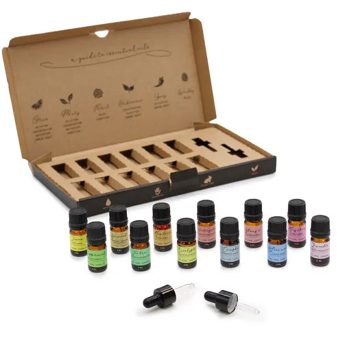 Open essential oils gift set with 12 small brown glass bottles with colorful labels, two droppers, and a cardboard box insert showing compartments for each bottle.