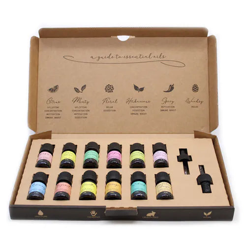 Top view of a kraft box with 12 small essential oil bottles in assorted colors, neatly arranged with a dropper and pipette on the side. The inside lid features illustrated icons and descriptions of essential oil categories.