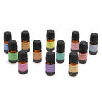 Twelve 5 ml essential oil bottles displayed on a white background. Labels in different colors show names such as Lavender, Orange, Clove, Cedarwood, Bergamot, Tea Tree, Pine, Ginger, Cinnamon, and Nutmeg.