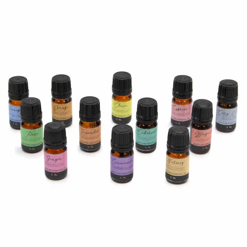 Twelve 5 ml essential oil bottles displayed on a white background. Labels in different colors show names such as Lavender, Orange, Clove, Cedarwood, Bergamot, Tea Tree, Pine, Ginger, Cinnamon, and Nutmeg.