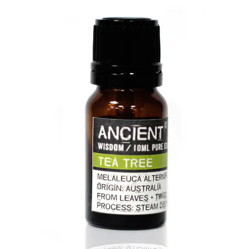 Amber glass bottle of Ancient Wisdom tea tree essential oil, labeled with origin from Australia and information about steam distillation from leaves and twigs.