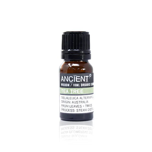 A small, 10ml amber glass bottle of Ancient Wisdom Organic Tea Tree essential oil. The bottle has a black cap and a black label with a light green band. The label lists product details including the Latin name, origin, and distillation process. The bottle is photographed against a clean white background.
