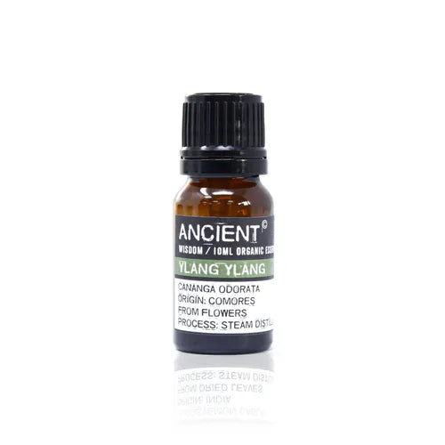 A small, 10ml amber glass bottle of Ancient Wisdom Organic Ylang Ylang essential oil. The bottle has a black cap and a black label with a light green band. The label lists product details including the Latin name, origin, and distillation process. The bottle is photographed against a clean white background.