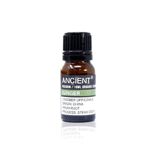 A small, 10ml amber glass bottle of Ancient Wisdom Organic Ginger essential oil. The bottle has a black cap and a black label with a light green band. The label lists product details including the Latin name, origin, and distillation process. The bottle is photographed against a clean white background.