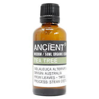 Amber glass bottle labeled 'Ancient Wisdom Organic Essential Oil Tea Tree 50ml,' origin Australia, made from leaves and twigs, steam distilled.
