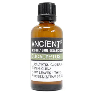 Amber glass bottle labeled 'Ancient Wisdom Organic Essential Oil Eucalyptus 50ml,' origin China, made from leaves and twigs, steam distilled.