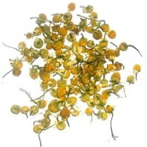 A pile of dried chamomile flowers on a clean white background. The image is a top-down view showing the small, round blossoms with their distinct yellow center and delicate, dried petals, along with some thin stems.